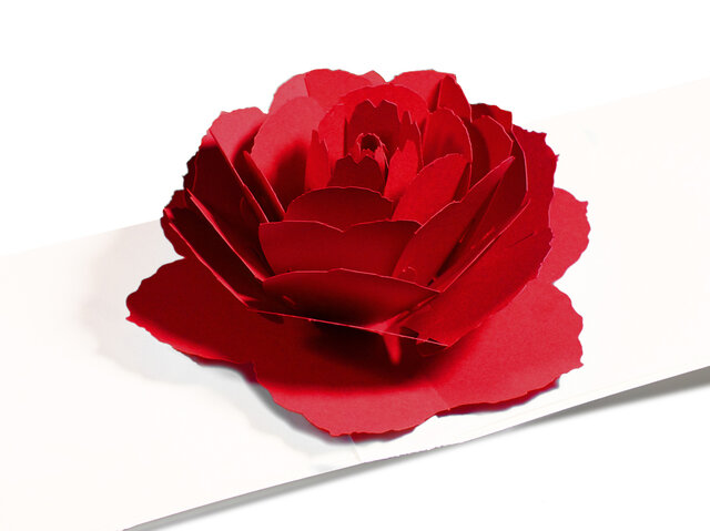 薔薇の輪舞 : 薔薇の悲劇　２冊　帯　おまけ　グリーティングカード有 薔薇の輪舞 : 薔薇の悲劇 2冊 帯 おまけ グリーティングカード