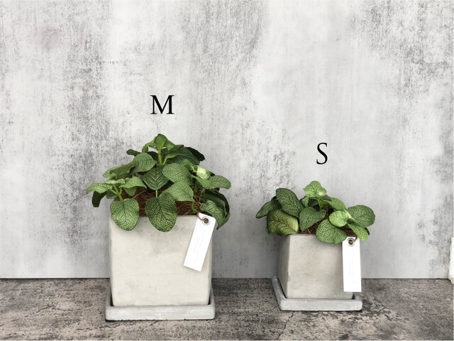 専用バードケージアレンジ フェイクグリーン Amazon.co.jp: SPICE OF LIFE(スパイス) フェイクグリーン