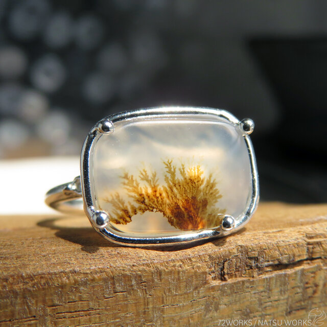 デンドリティック アゲートリング / Dendritic Agate Ring 5e | iichi