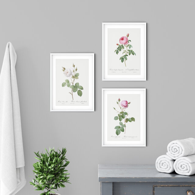 A4サイズ ３枚組【ピンクと白の３種類の薔薇 アンティーク ボタニカルフラワー】インテリア フラワーアートポスター Étape１