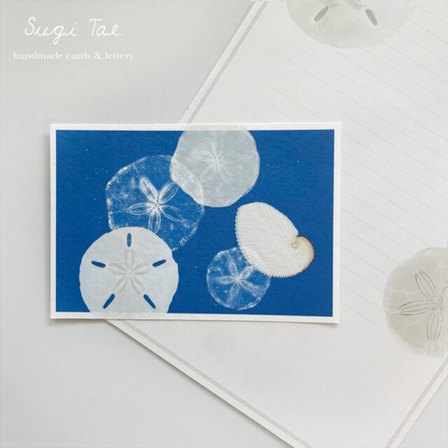 カシパンのカード　　