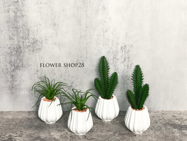 2点セット】エアープランツとサボテン フェイクグリーン | iichi 日々