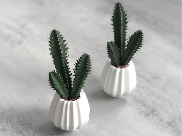 2点セット】エアープランツとサボテン フェイクグリーン | iichi 日々