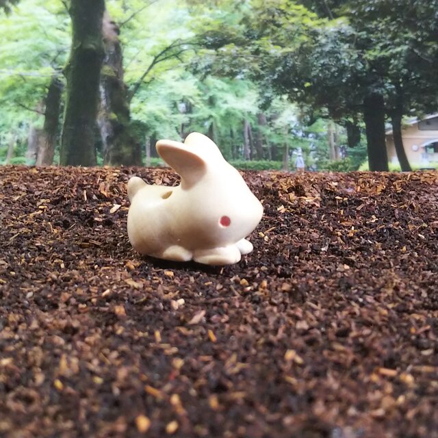 うさぎ ツリバナマユミ 根付 | iichi 日々の暮らしを心地よくする