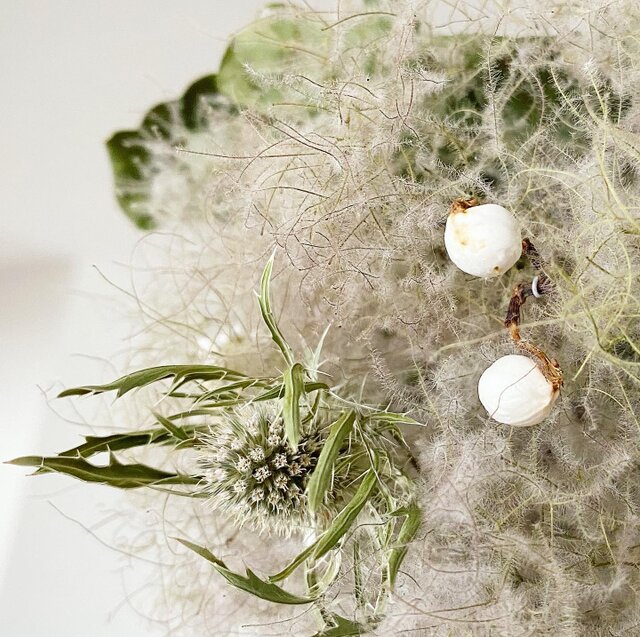 スモークツリー　フライングリース　ボールリース　きみどり スモークツリー ボール フライングリース きみどり - メルカリ