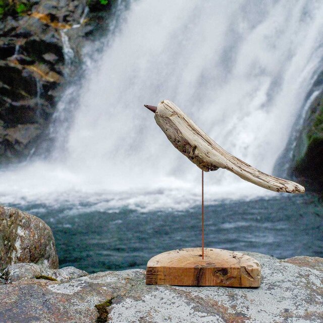 流木の鳥 木の鳥 wood bird 鳥 鳥のオブジェ （Msaiz） 137 | iichi