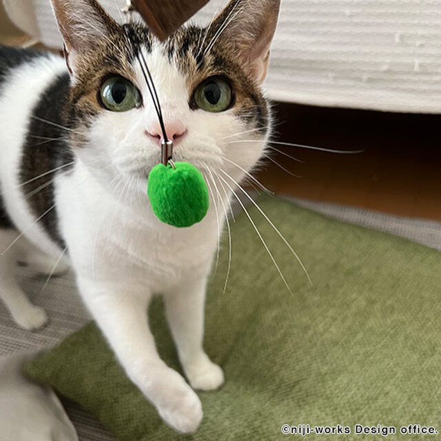 扇子 ｜ 猫に杉玉 ー扇子用 猫戯玉ストラップ付きー | iichi 日々の 