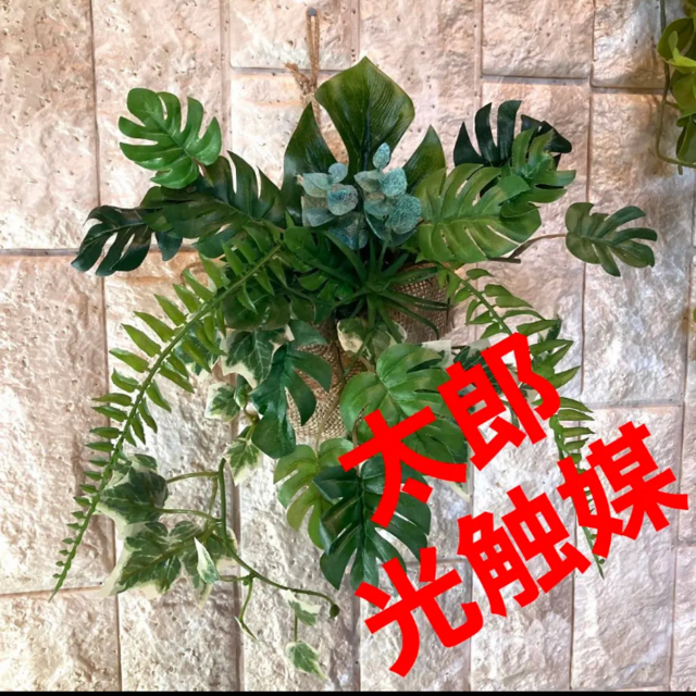 光触媒　人工観葉植物　ウォールグリーン　フェイク　フラワー　モンステラ麻壁掛け