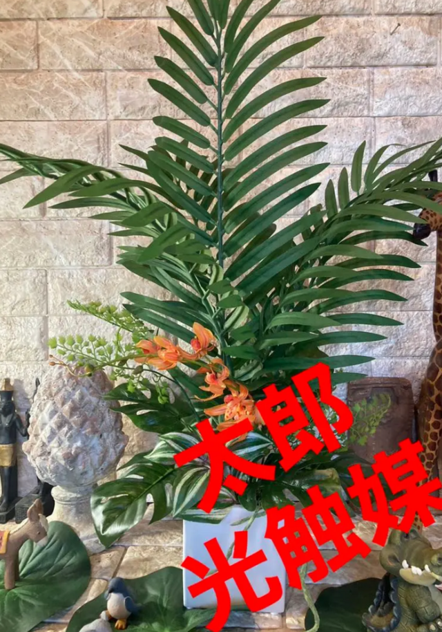 光触媒 人工観葉植物 ウォールグリーン フェイクグリーン モンステラ高 ...