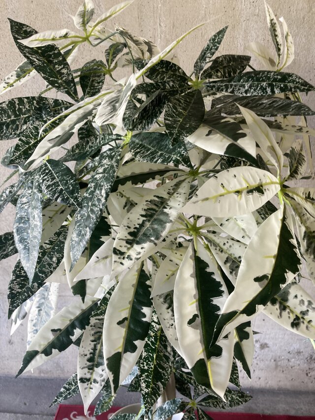 光触媒　人工観葉植物　ウォールグリーン　造花　アレンジ　斑入りパキラ60