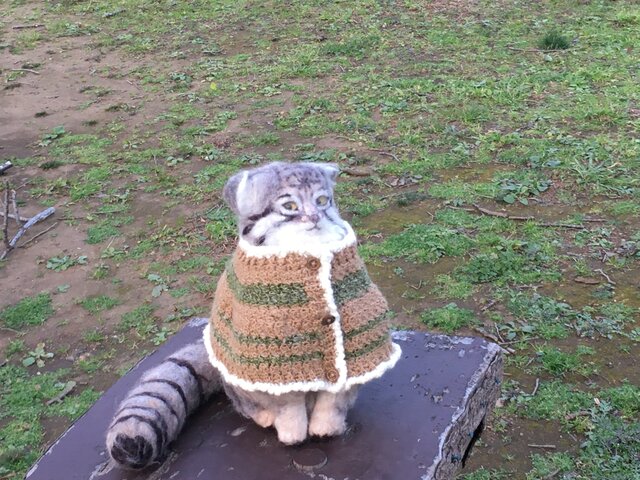 オーダーメイド☆羊毛フェルトのマヌルネコ エジプト座り | iichi 日々