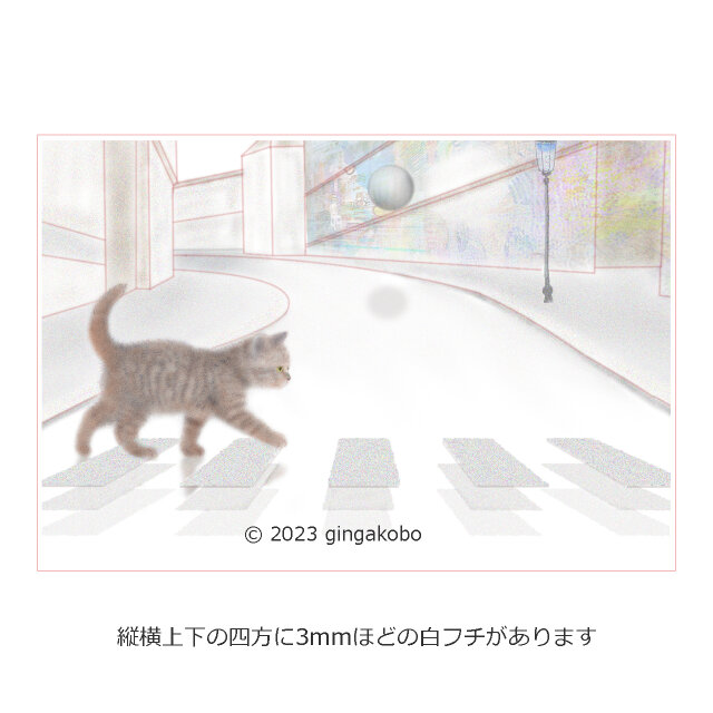 どこからきて、どこにいくの？」 猫 ほっこり癒しのイラストポスト