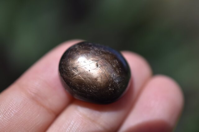 六条☆ブラックスターサファイア ルース s944 | iichi 日々の暮らしを