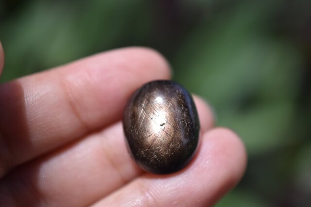 高品質　ブラックスターサファイア　ルース 六条☆ブラックスターサファイア ルース s944 | iichi 日々の