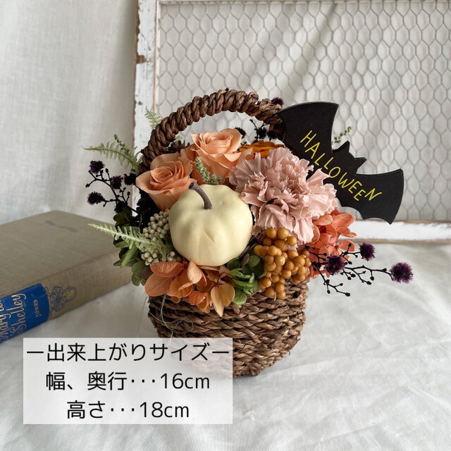 ディーアップ✳︎シルキーリキッドアイライナーWP✳︎