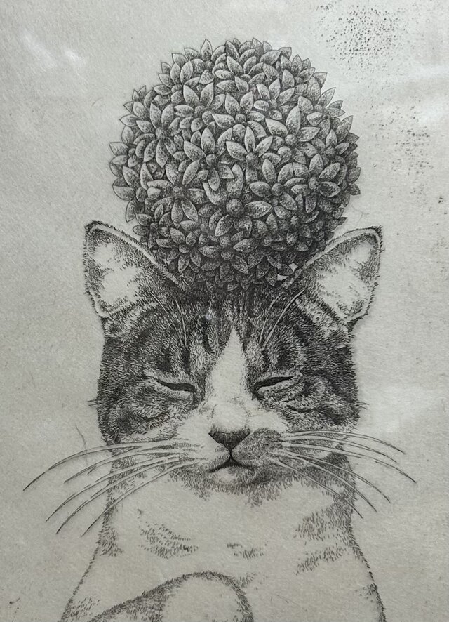 猫の額付き銅版画 カラーバージョン-