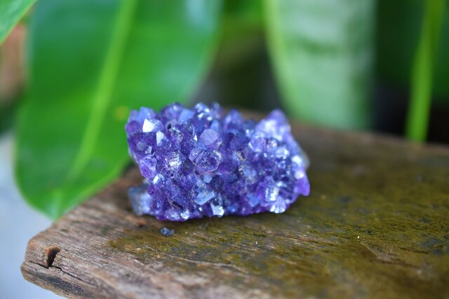 アメジスト原石　1,460g Ｈ135cm アメジスト原石 | 原石 | Crystals by Purely