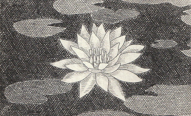 額付き銅版画作品　title「寂しがりやのレノン」 額付き銅版画作品 title「寂しがりやのレノン」 額付き銅版画