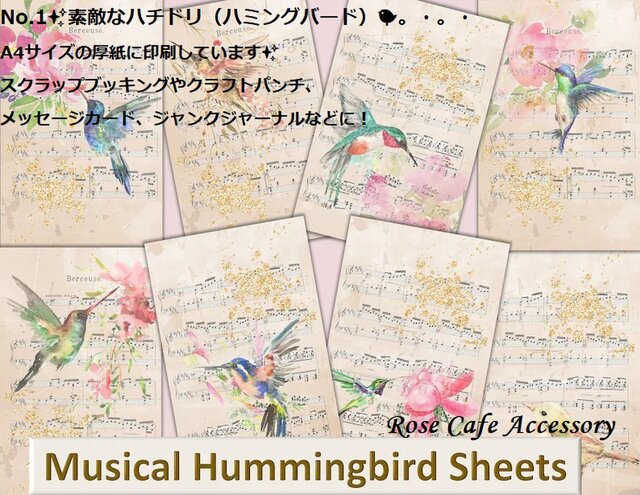 1303）No.1✨素敵なハチドリ/ハミングバード/A4サイズの厚紙に印刷し