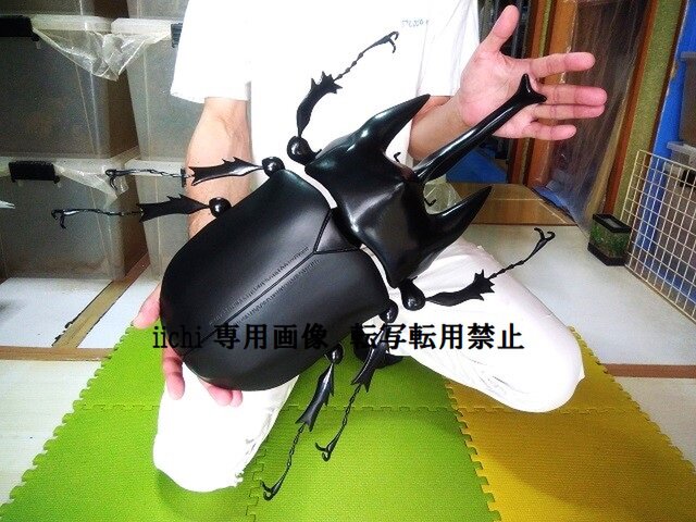 it-65f94104ae015-1200.jpg