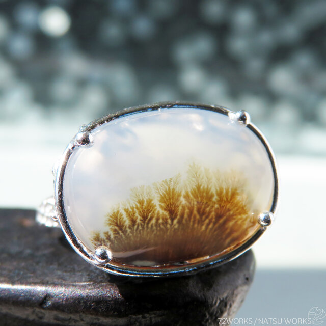 デンドリティック アゲート リング / Dendritic Agate Ring a5 | iichi