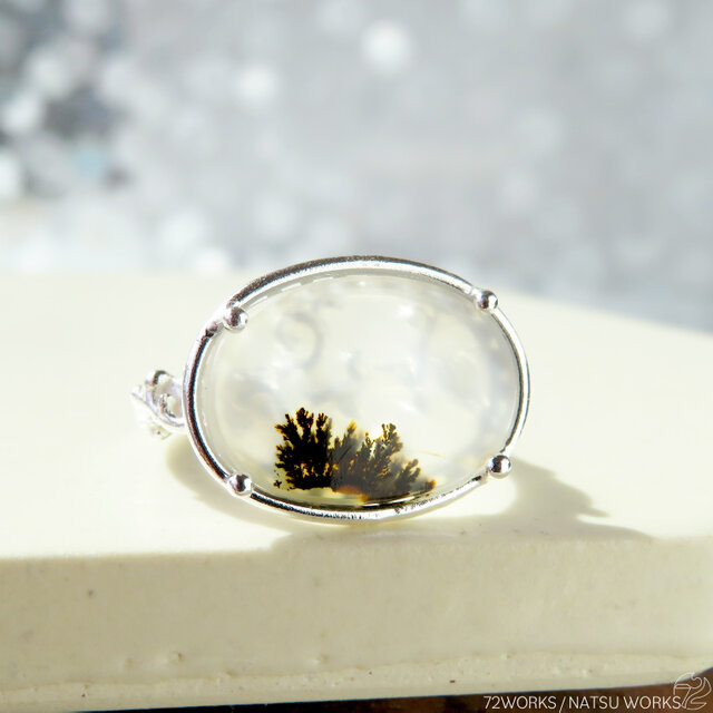 デンドリティックアゲート　リング デンドリティック アゲートリング / Dendritic Agate Ring 5b