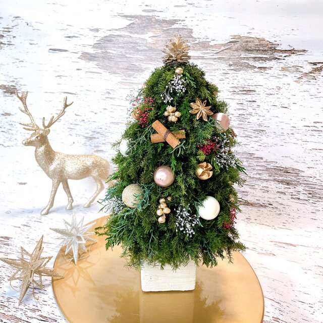 ヒムロスギのナチュラルクリスマスツリー  プリザーブドグリーン