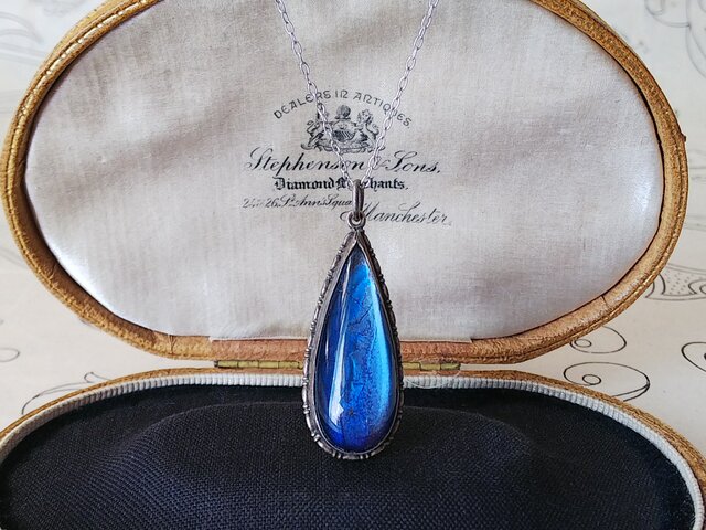 アンティーク モルフォ蝶 Silver925製Tear-Drop（約36×14.5