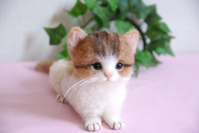 N様 オーダー 子猫ちゃん】 | iichi 日々の暮らしを心地よくする