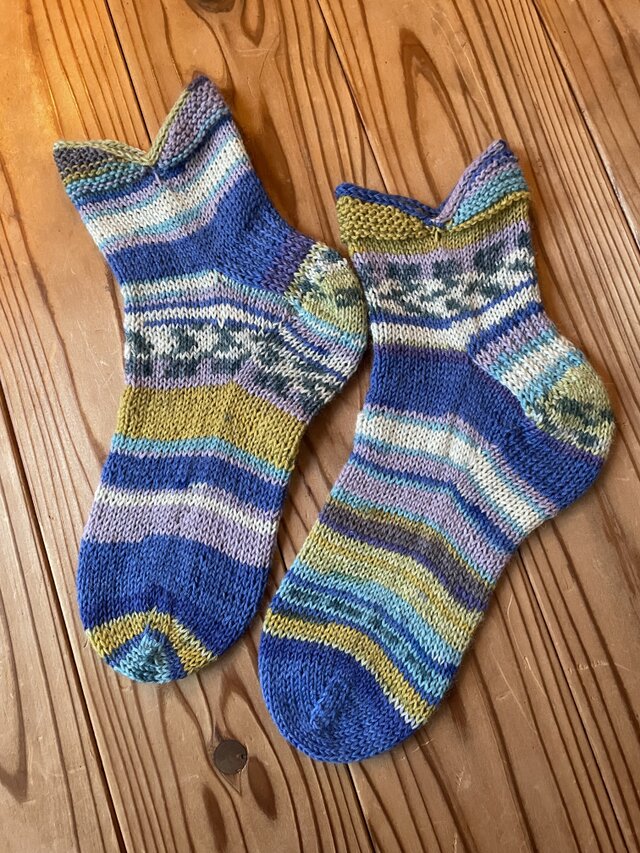 No.1336 うつぼソックス195匹め