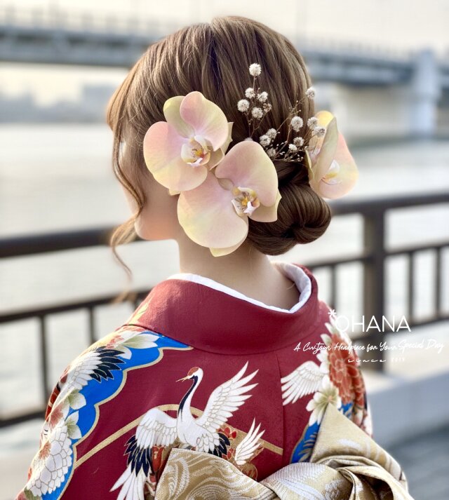 洗練されたシンプルさ】優美な胡蝶蘭とふわふわスターリンジャーの髪