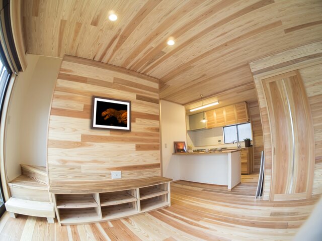 額付アート写真/A3サイズ】MESOZOIC ORANGE KING（中生代のオレンジ王