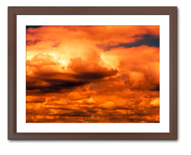 額付アート写真/A3サイズ】BIRTH ORANGE（誕生のオレンジ） | iichi