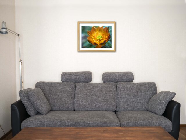 額付アート写真/A3サイズ】MIRACLE ORANGE FLOWER（奇跡のオレンジの花