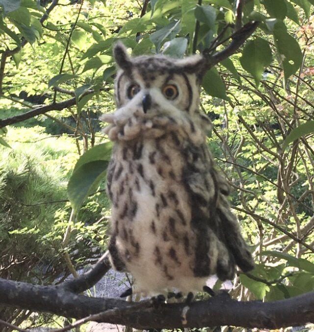 ✨羊毛フェルトのベンガルワシミミズクB | iichi 日々の暮らしを 