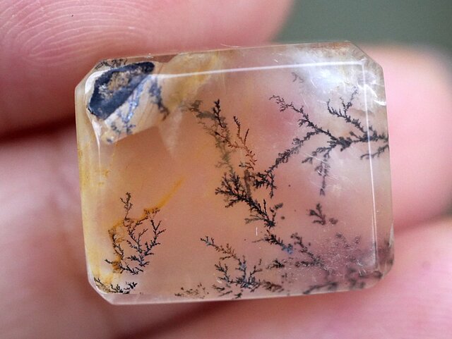 模様くっきり高品質　デンドリティッククォーツ シダ模様 しのぶ石 シダ絵画☆デンドリティッククォーツ s1059 | iichi 日々の