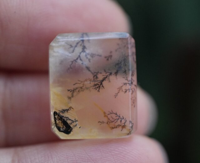 シダ絵画☆デンドリティッククォーツ s1059 | iichi 日々の