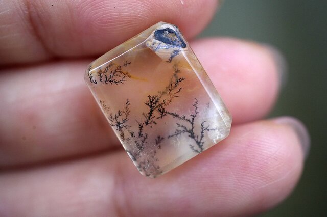 模様くっきり高品質　デンドリティッククォーツ シダ模様 しのぶ石 シダ絵画☆デンドリティッククォーツ s1059 | iichi 日々の