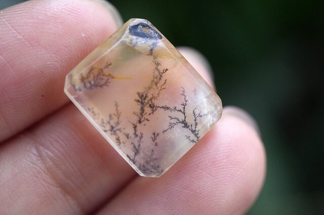 模様くっきり高品質　デンドリティッククォーツ シダ模様 しのぶ石 10/24新着情報☆自然界のイタズラ！？高品質デンドリティック