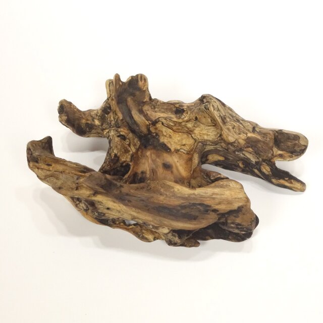 温泉流木】格子のような変形流木のミニ鉢エアプランツスタンド