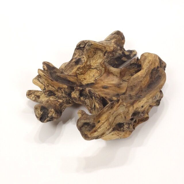 温泉流木】格子のような変形流木のミニ鉢エアプランツスタンド