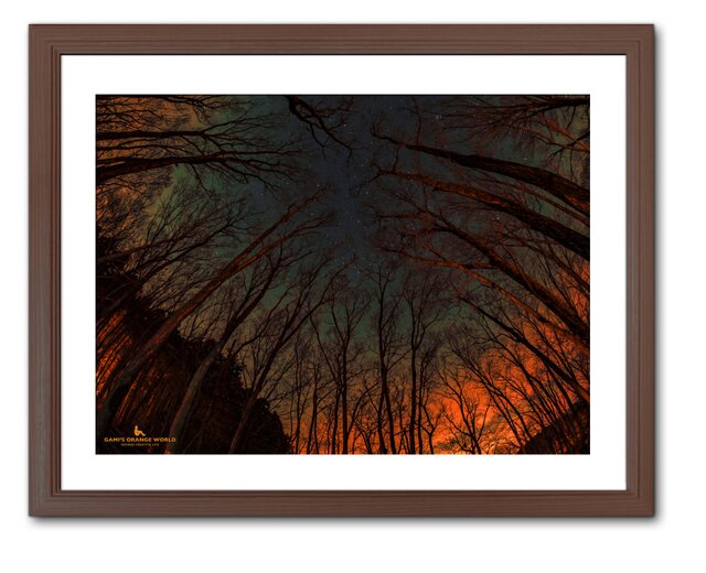 額付アート写真/A3サイズ】STARRY SKY SURROUNDED BY ORANGES