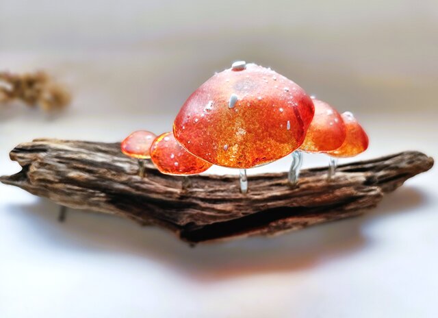 未使用 希少 銘木 紫檀 蓋物 漆塗り 筍 タケノコ 小物入れ 置物