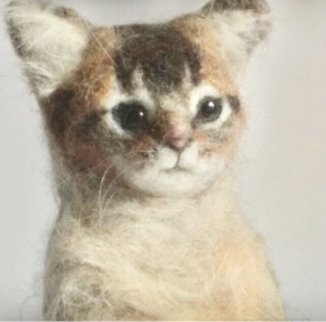オーダーメイド☆羊毛フェルトのソマリルディ子猫 | iichi 日々の