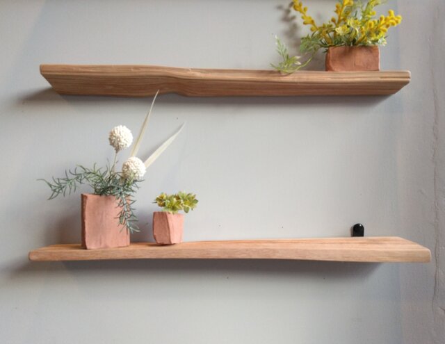 自然木の ディスプレイ ウォールラック ～ ポストカード・写真・小物