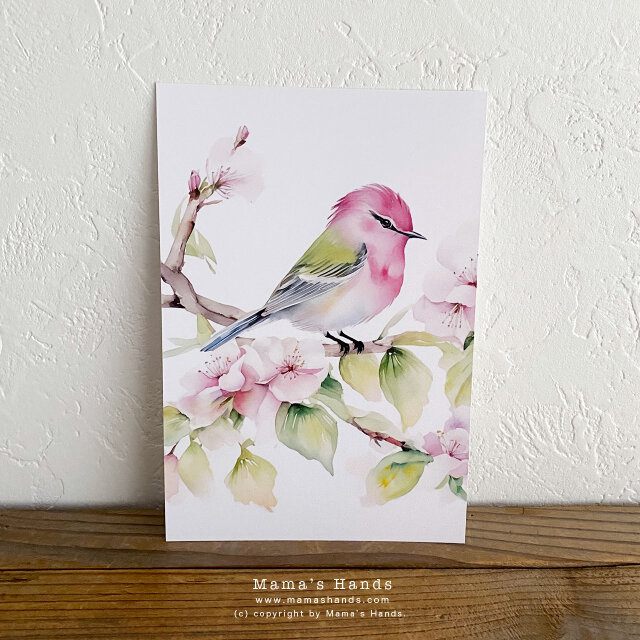 美しい 桜 小鳥 鶯 水彩画 イラスト アート ３枚 ハガキ ポストカード 