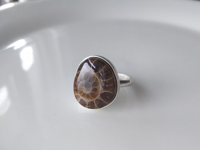 迷宮のリング アンモナイト化石 | iichi 日々の暮らしを心地よくする
