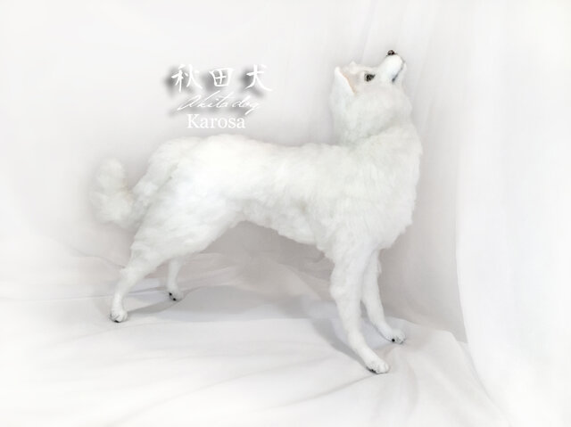 秋田犬（2頭） 成犬白 全身可動 ＆ パピー白 子犬 セット 羊毛