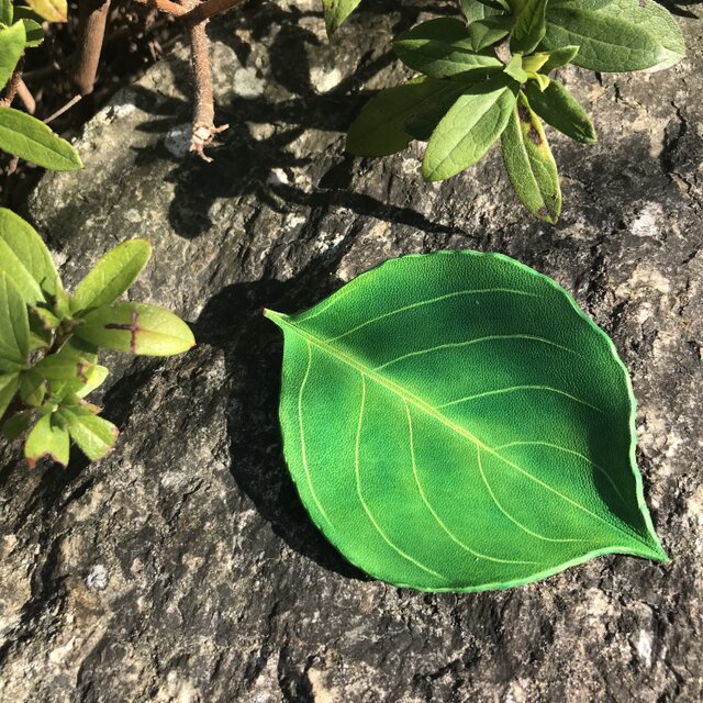 本革　葉っぱ　ヤマボウシ　ミニ　レザートレイ　