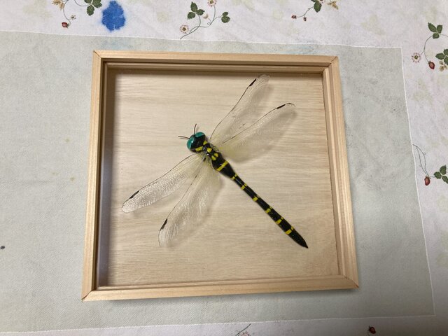 オニヤンマ作品3 | iichi 日々の暮らしを心地よくするハンドメイドや